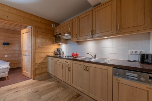 l'Ours Bleu B01 Ski-In at Vallorcine| Shared Pool, Gym & Wellness