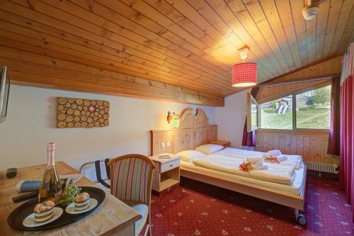 Hotel Relais Alpin Single Ski In-Out 5 223