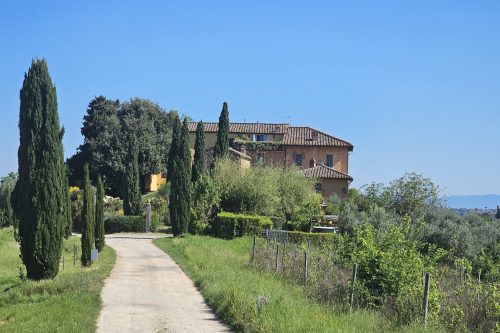 Villa Salivolpe Amazing Chianti View 6