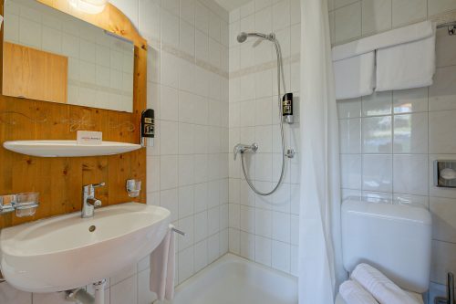 Hotel Relais Alpin Twin Room & Balcony3 229