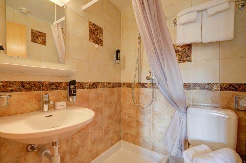 Hotel Relais Alpin Family Room Balcony12 234