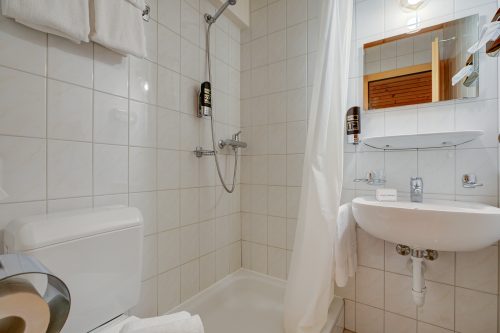 Hotel Relais Alpin Single Ski In-Out 1 123