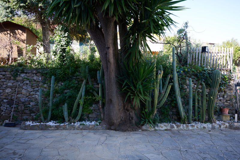 Villa Camilla appartamento giardino
