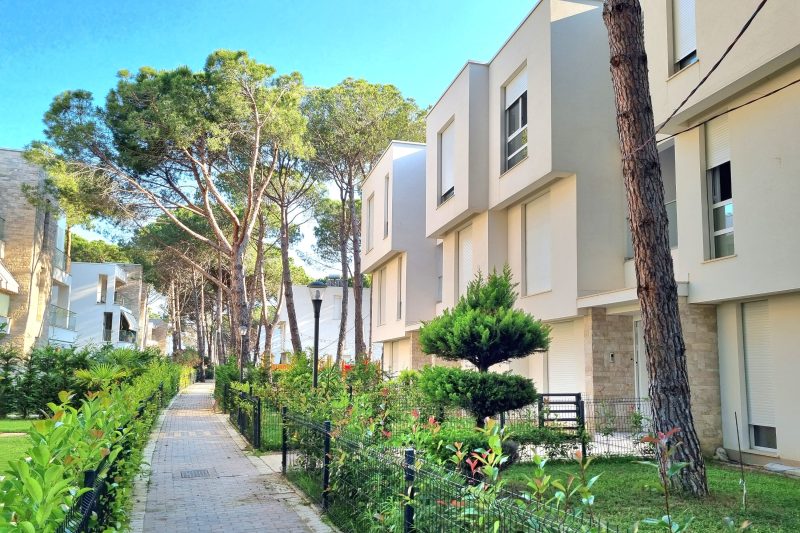 Swiss Sweet Apartment 297
