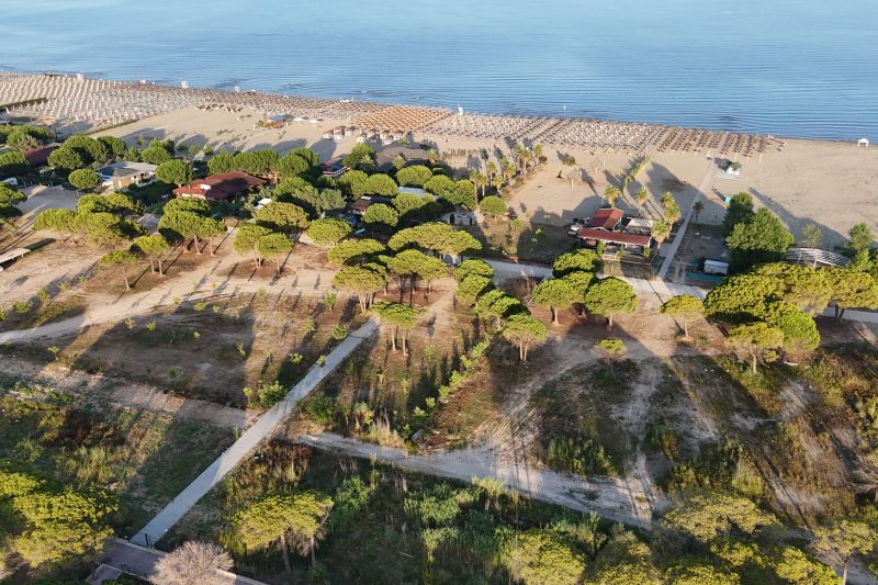 Beach Haven Hideaway 291