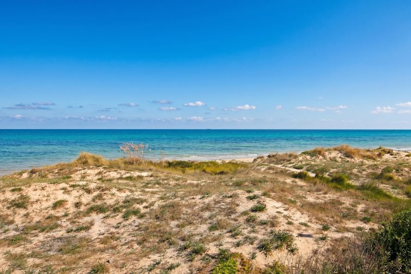 Villa Dei Fanti - Beachfront Villa with Garden