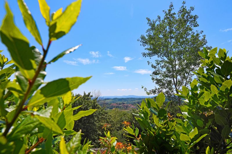 Tuscan Home Rignano Private Garden