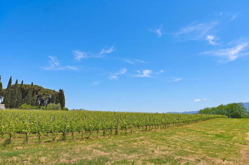 Tuscan Home Rignano Private Garden