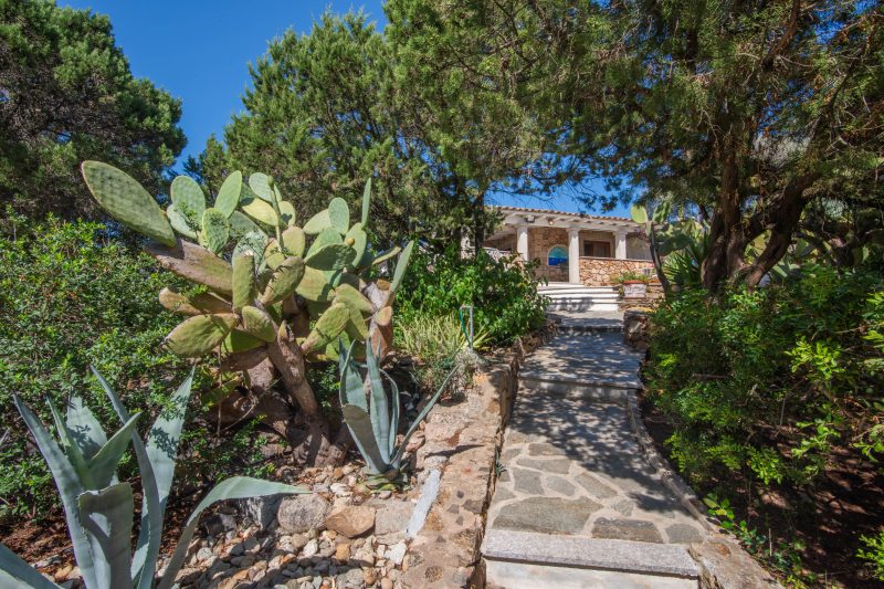 Villa Maestrale 100M from beach