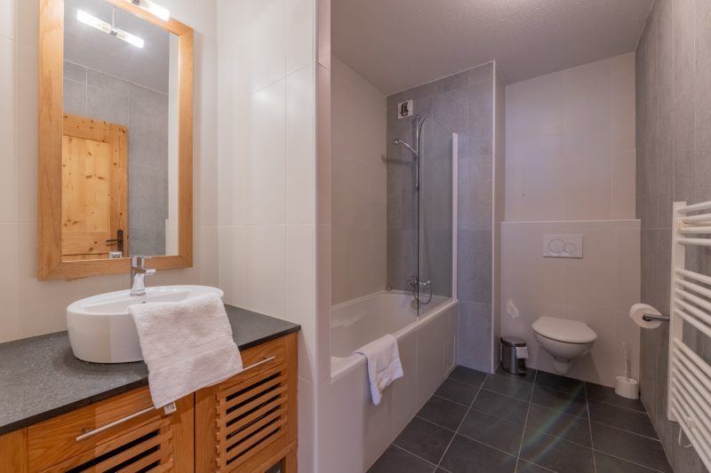 l'Ours Bleu B01 Ski-In at Vallorcine| Shared Pool, Gym & Wellness