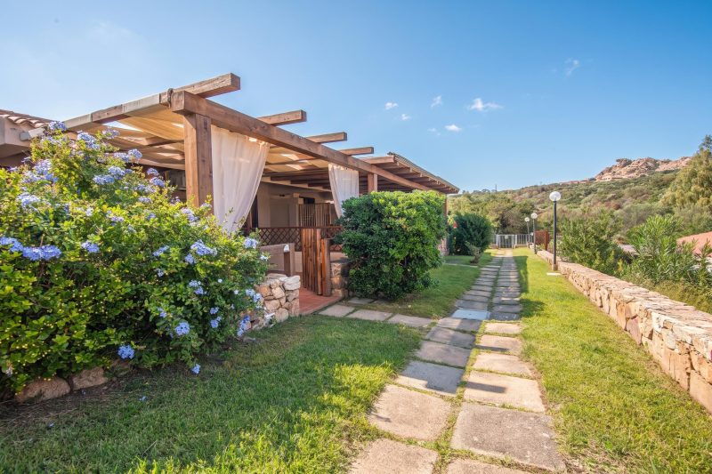 Sandy Bear Guesthouse