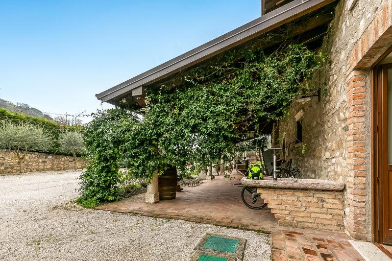 Agriturismo Apartm Fasanella heated pool