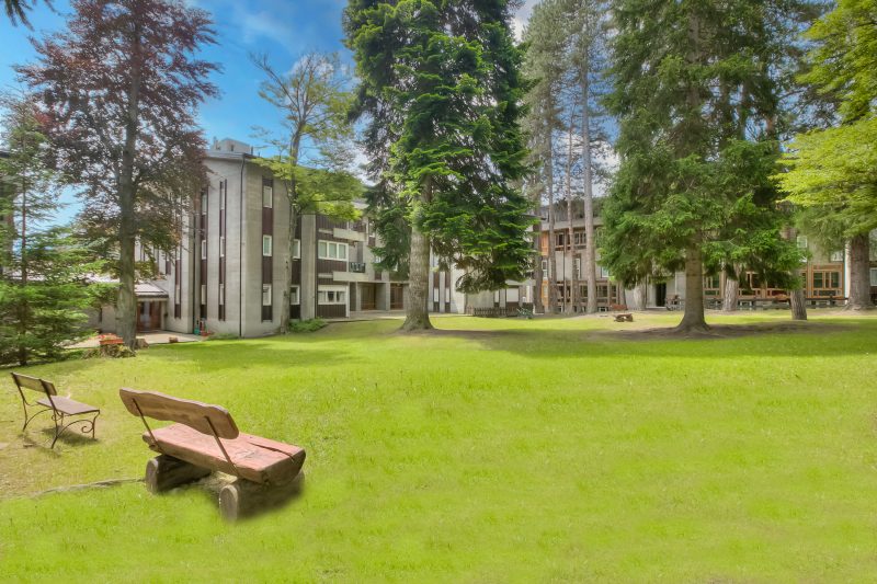 Comfort Tra Fiume E Pini with Shared Garden and Balcony