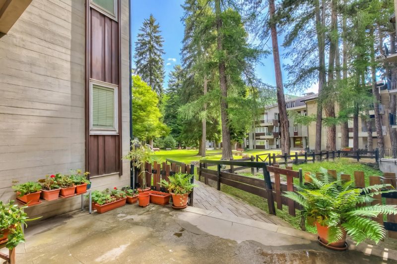 Comfort Tra Fiume E Pini with Shared Garden and Balcony