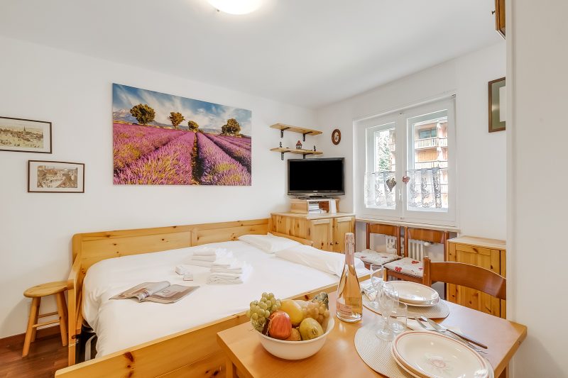 Hermitage Studio - close to ski pistes