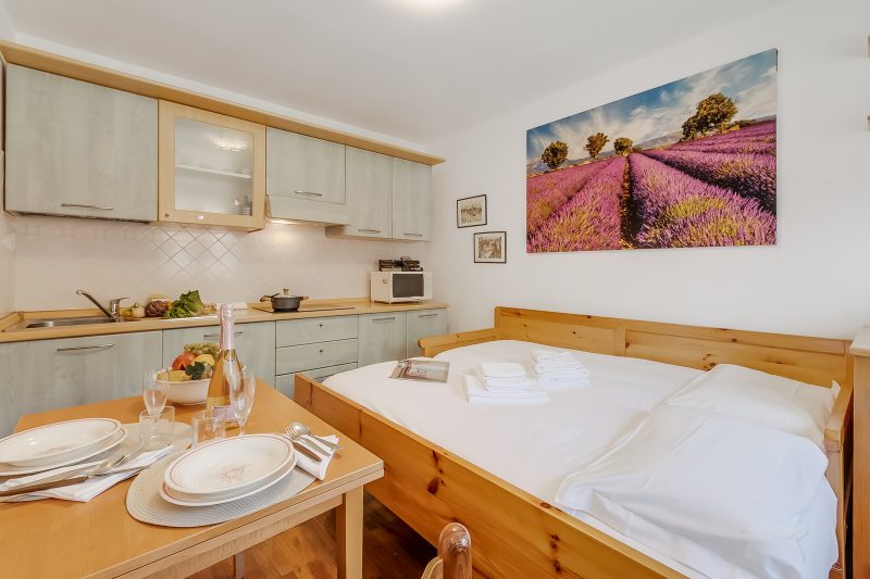 Hermitage Studio - close to ski pistes