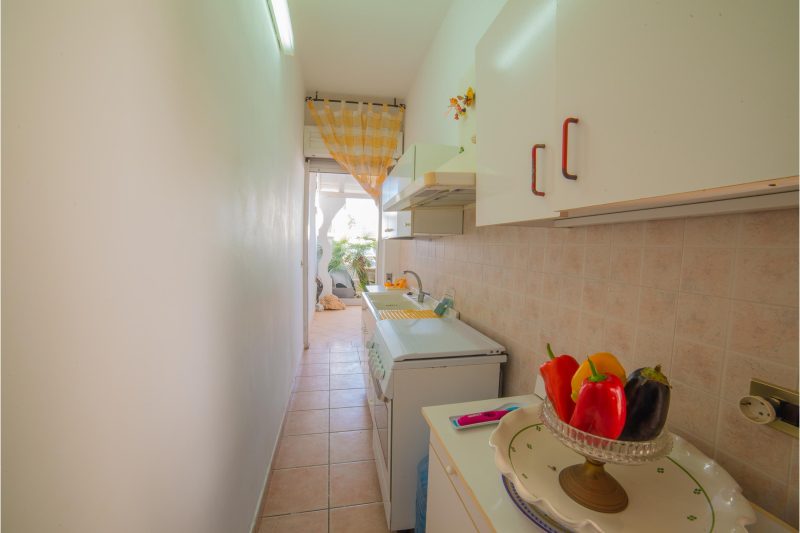 Rusciu Te Lu Mare Apartment with Terrace & Garden