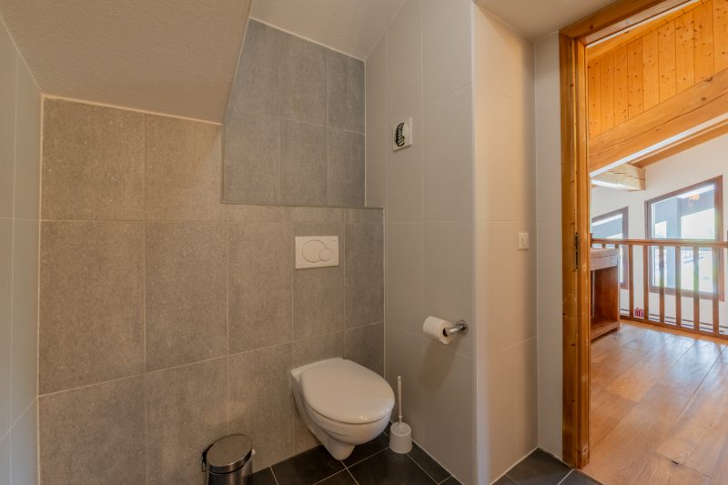 l'Ours Bleu A35 Ski-In at Vallorcine| Shared Pool, Gym & Wellness