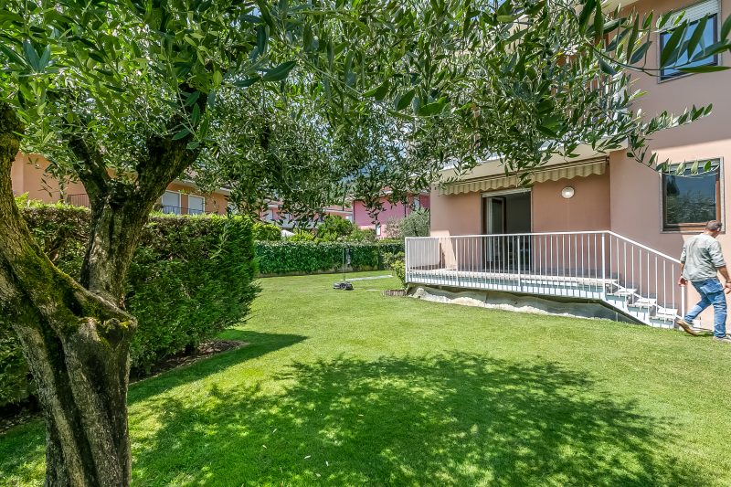 The Olive Tree Garden With Mountain View