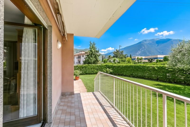 The Olive Tree Garden With Mountain View