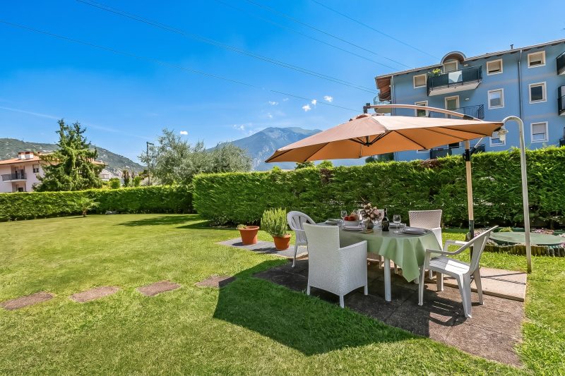 The Olive Tree Garden With Mountain View