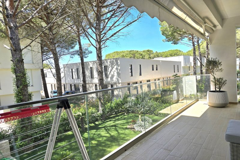 Olive Tree Apartment