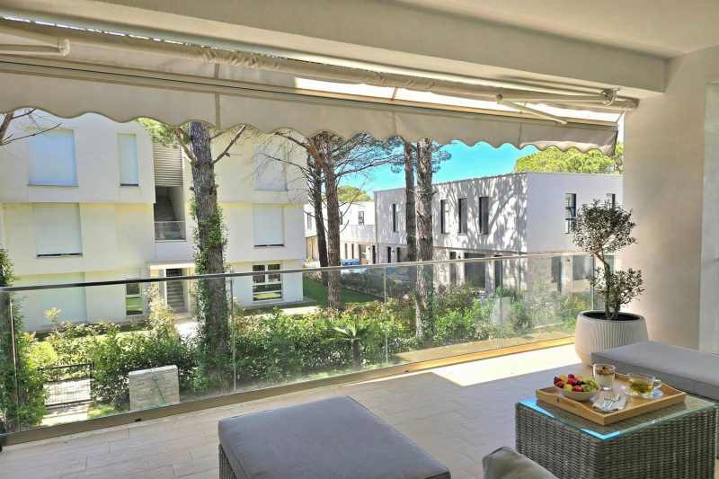 Olive Tree Apartment