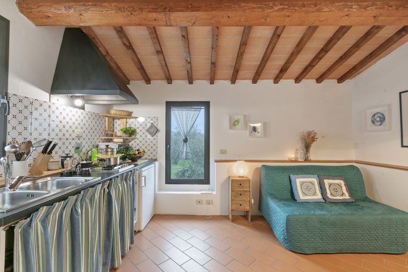 Relaxing Tuscan Country near Florence 4|Shared Pool
