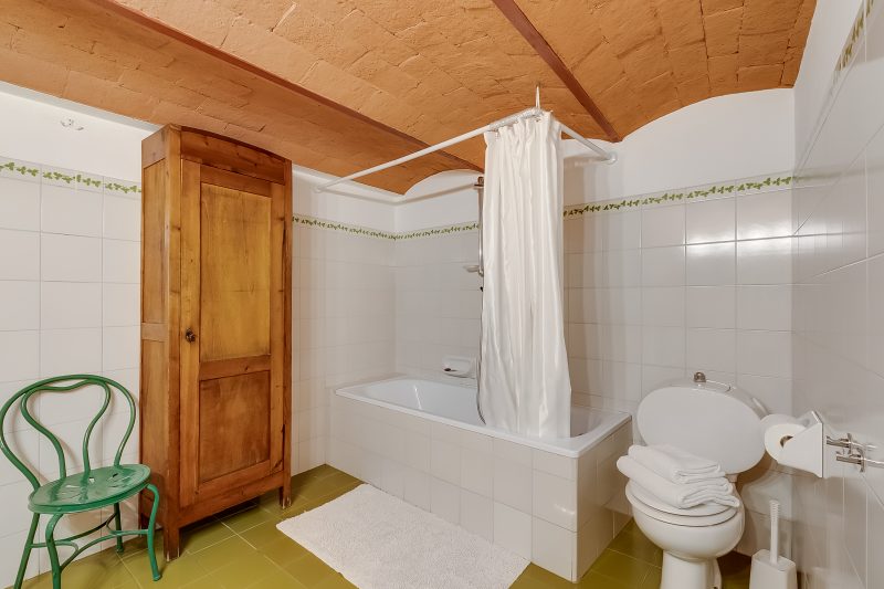 Relaxing Tuscan Terrazza near Florence 4|Shared Pool