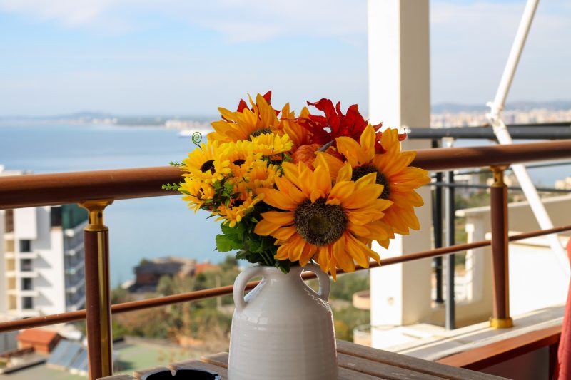 Vlora Sunset Apartment /w Balcony & Sea View