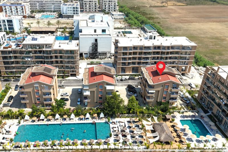 Pool View Palm 002
