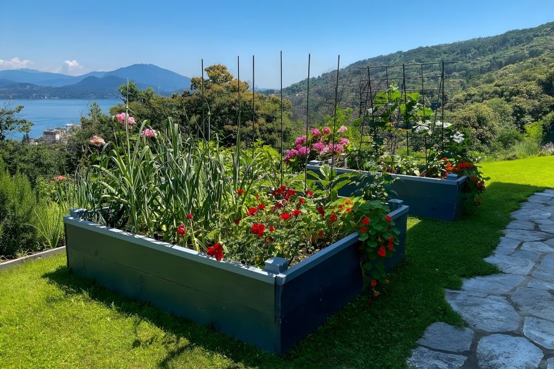 Villa Alessia - 4 bed Villa with Lake Maggiore View