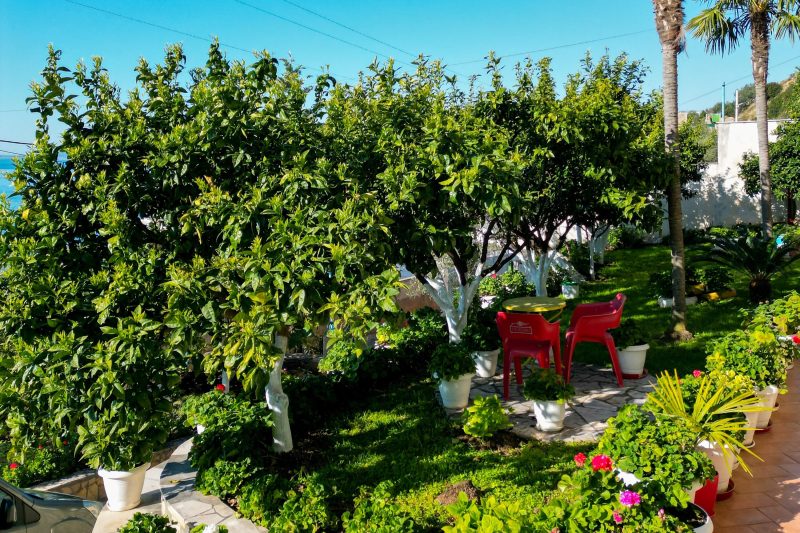 Villa Meminaj With Sea View And Garden