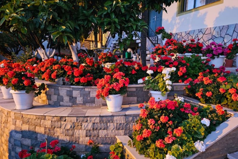 Villa Meminaj With Sea View And Garden