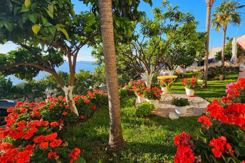 Villa Meminaj With Sea View And Garden