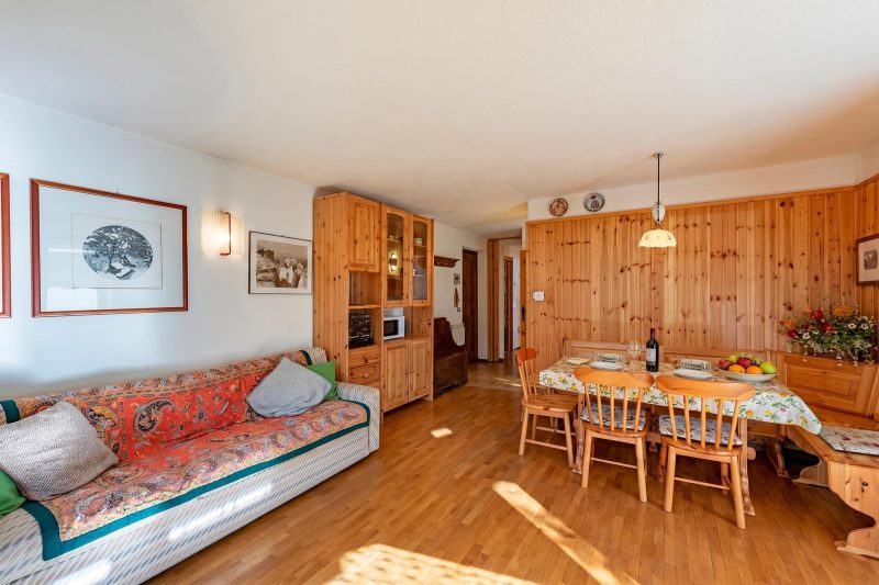 Family Apartment Steps From Ski Lifts