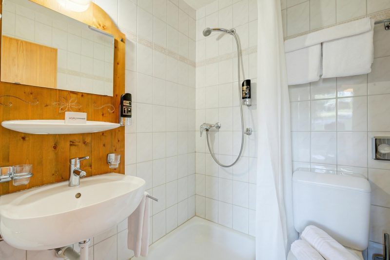Hotel Relais Alpin Twin Room & Balcony4 231
