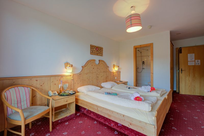 Hotel Relais Alpin Twin Room & Balcony2 227