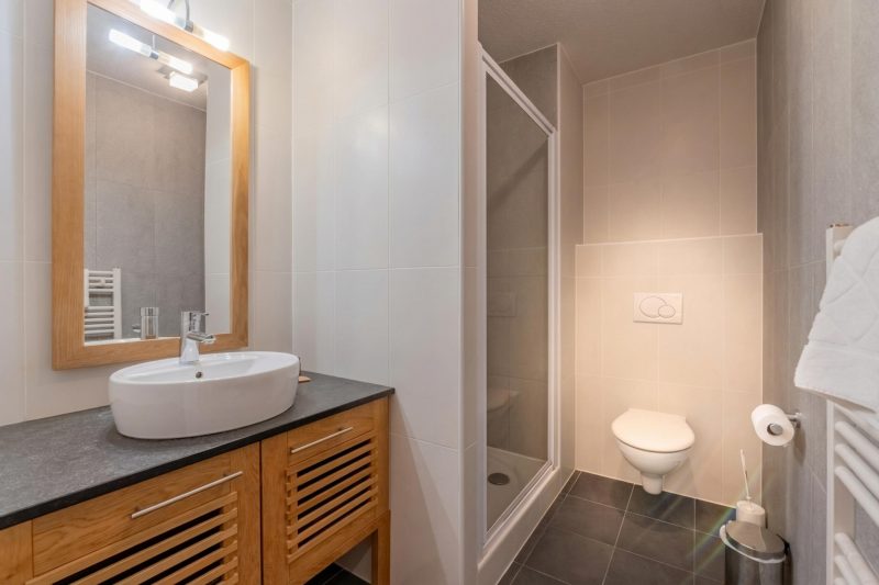 l'Ours Bleu C21 Ski-In at Vallorcine| Shared Pool, Gym & Wellness