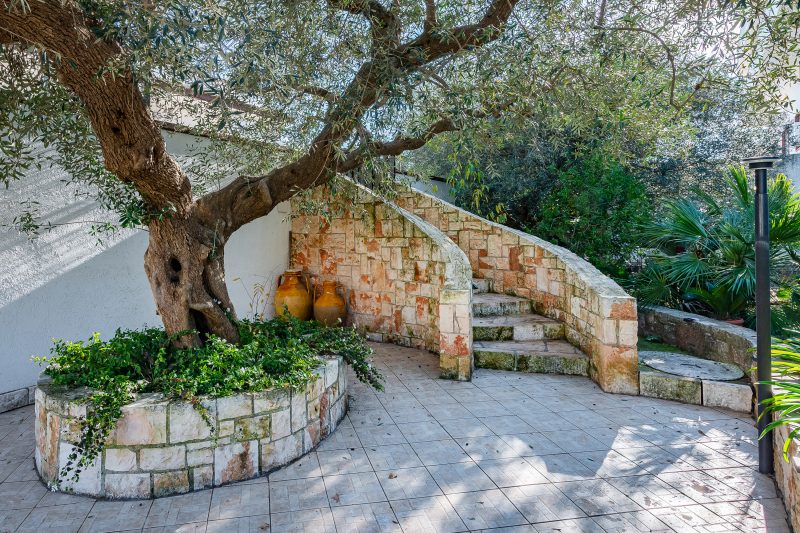 Bianca Olive House - Alberobello