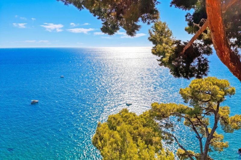 Il Suono del Mare - Sea Front Apt and Pool