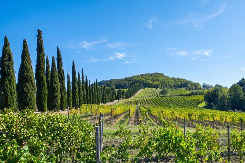 Villa Paradiso 8