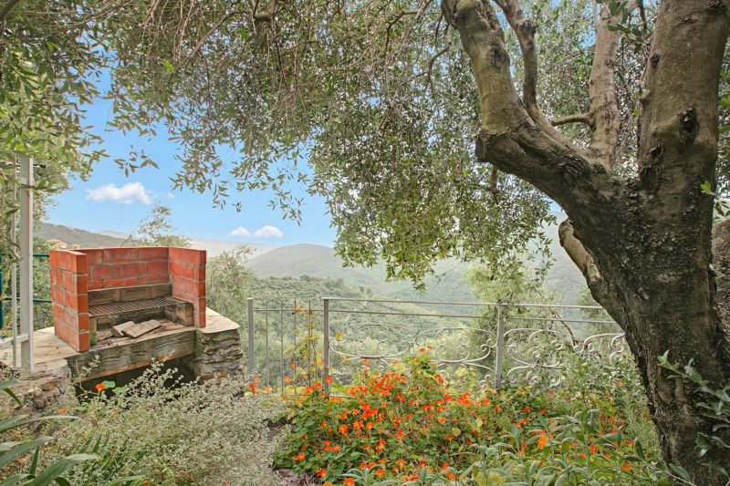 Ca D'artista For Nature Lovers with Terrace Garden