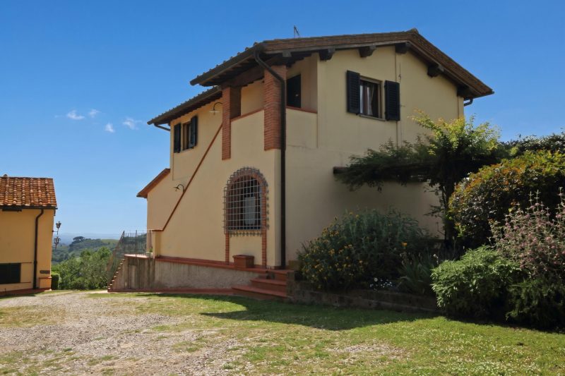 Antinoro 3