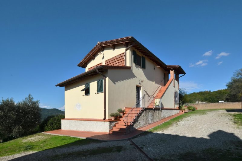 Antinoro 3