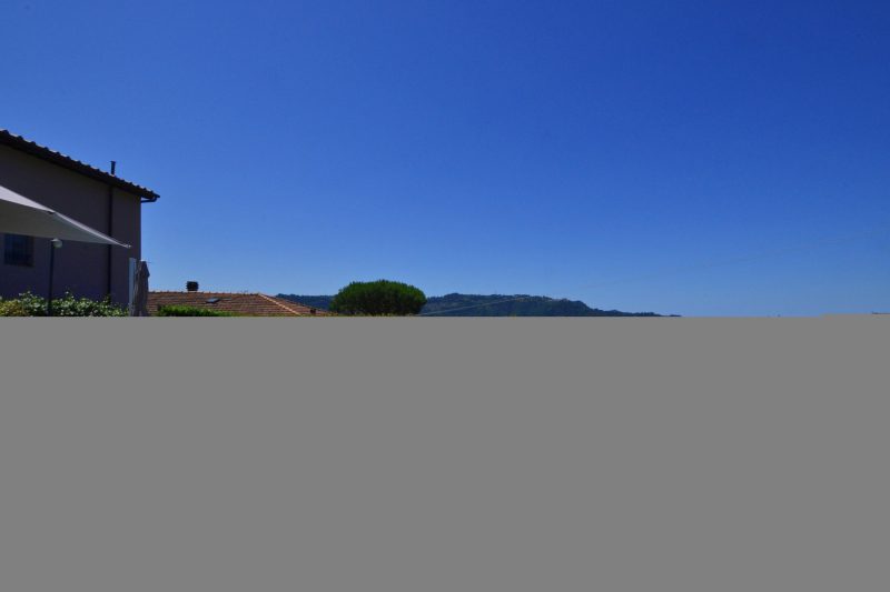 Ginepro Grillo