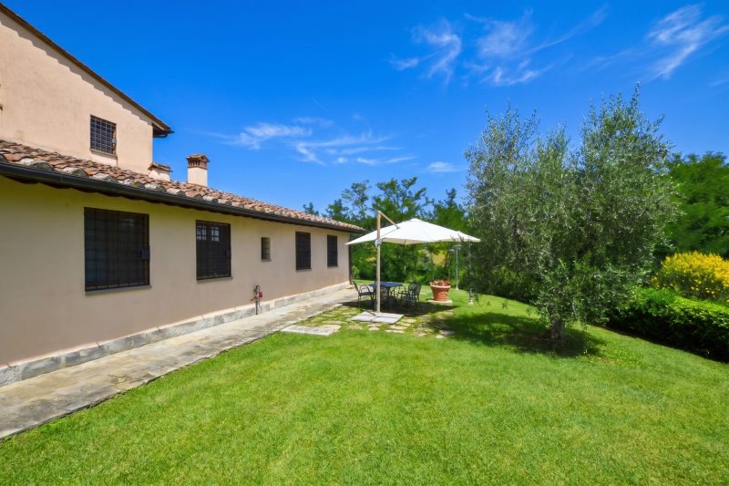 Francigena 6