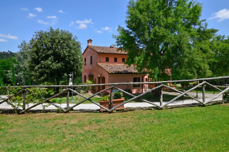 Francigena 8