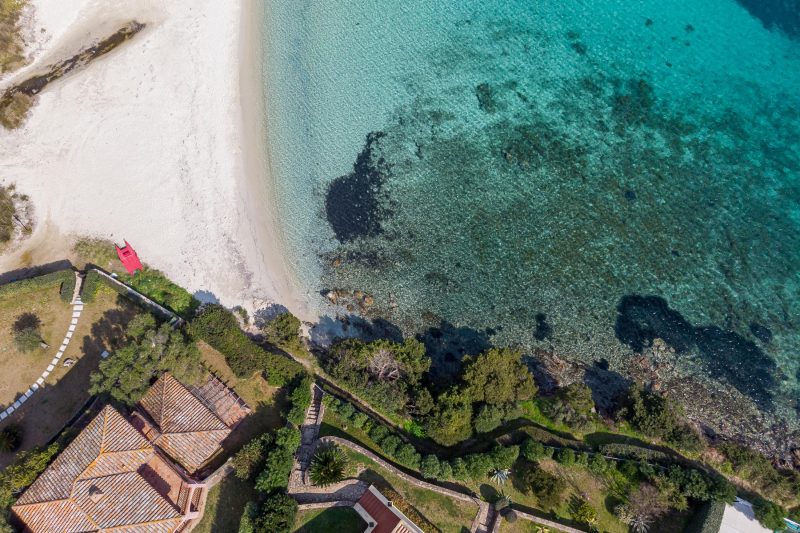 Villa Oleandri 50m From Seashore