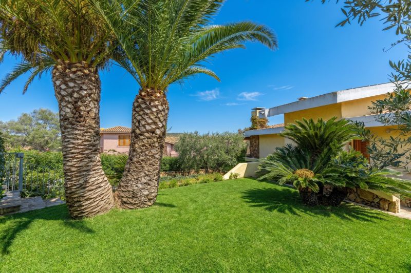 Villa Oleandri 50m From Seashore
